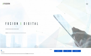 efusion.co.jp screenshot