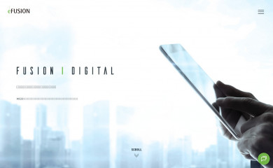 efusion.co.jp screenshot