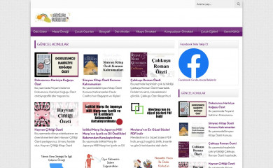 egitimdedegerler.com screenshot