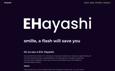 ehayashi.com screenshot