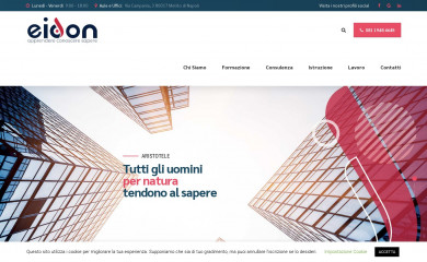 eidongroup.it screenshot