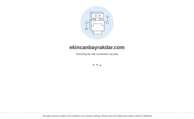 ekincanbayrakdar.com screenshot