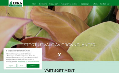 ekragartneri.no screenshot