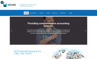 elayouty-cpas.com screenshot