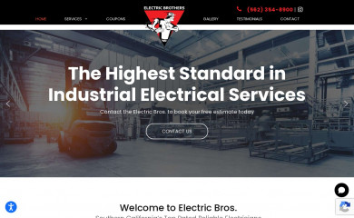 electricbro.com screenshot