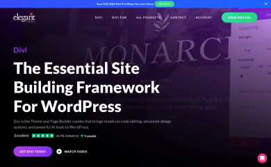 http://www.elegantthemes.com/gallery/bold screenshot
