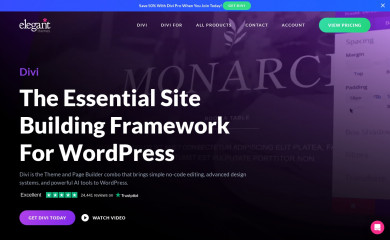 Divi screenshot