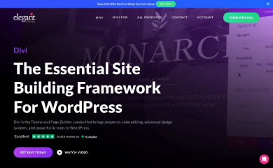 http://www.elegantthemes.com/gallery/egamer screenshot