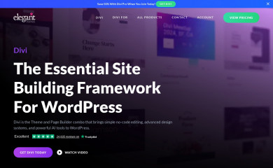 http://www.elegantthemes.com/gallery/herVamDivi/ screenshot