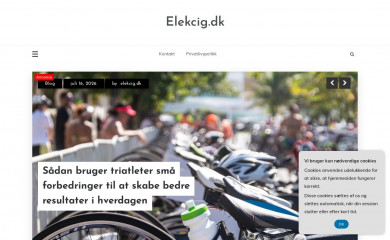 elekcig.dk screenshot