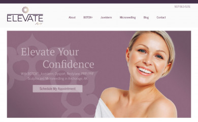 elevateaestheticsalaska.com screenshot