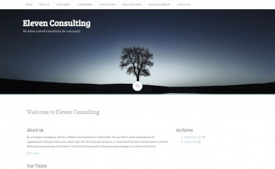 elevenconsulting.com.au screenshot