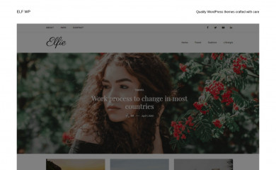 https://elfwp.com/themes/elfie screenshot