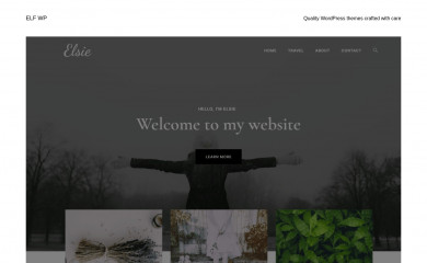 https://elfwp.com/themes/elsie screenshot