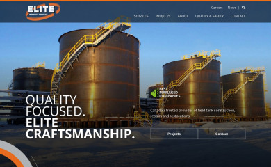 eliteintegrityservices.com screenshot