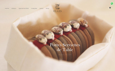 ellespourelise.com.br screenshot