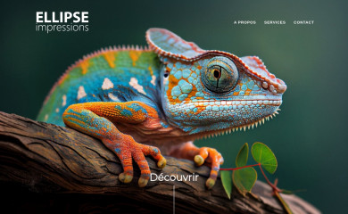 ellipseimpressions.com screenshot