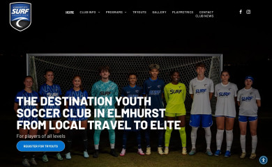 elmhurstcitysurf.com screenshot
