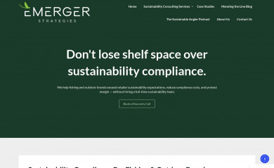 emergerstrategies.com screenshot