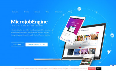 https://www.enginethemes.com/themes/microjobengine screenshot