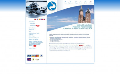 endoskopia.net.pl screenshot