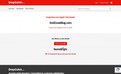 endzoneblog.com screenshot
