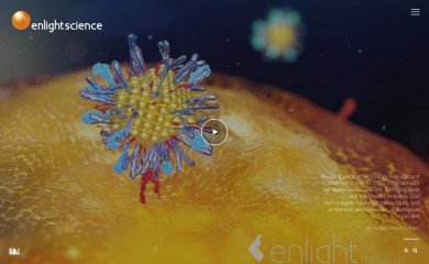 enlightmedical.com screenshot