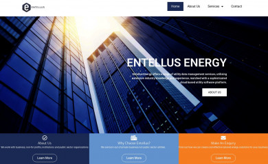 entellus.com.au screenshot