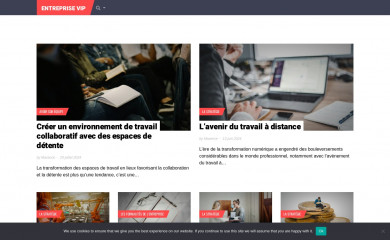 entreprise.vip screenshot