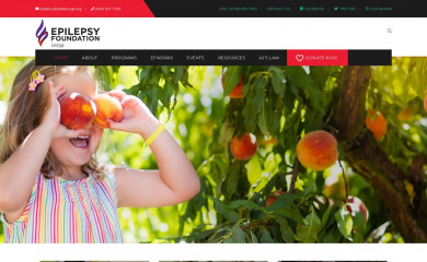 epilepsyga.org screenshot