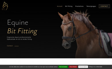 equinebitfitting.fr screenshot