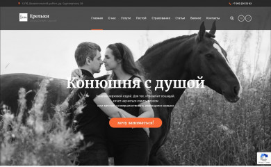 erelki.ru screenshot