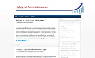 erfolg-mit-ausschreibungen.at screenshot