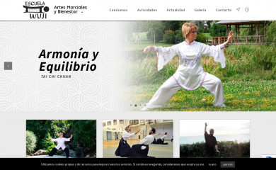 escuelawuji.com screenshot