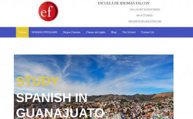 escuelafalcon.com screenshot