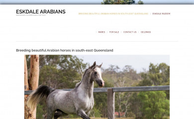 eskdalearabians.com screenshot