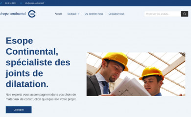 esope-continental.fr screenshot