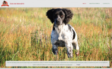 eslademondrin.es screenshot