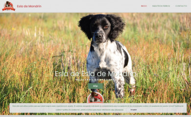 eslademondrin.es screenshot