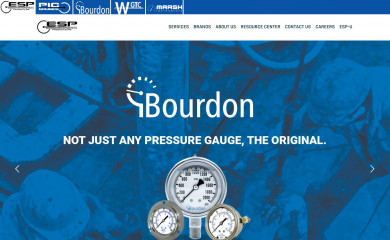 espgauges.com screenshot