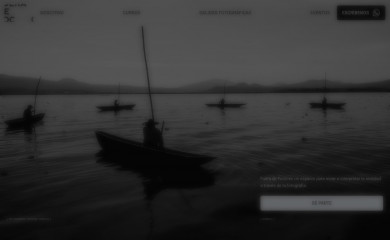 fueradefoco.com.pe screenshot