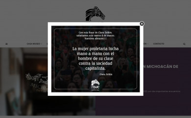 fundaciondeliadelcarril.cl screenshot