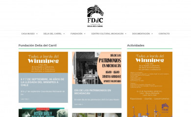 fundaciondeliadelcarril.cl screenshot