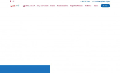 fundacionlyncott.org screenshot