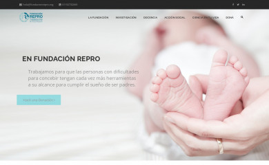 fundacionrepro.org screenshot