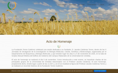 fundaciontorresgutierrez.es screenshot