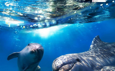futureoceans.com screenshot