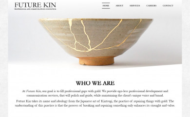futurekinconsulting.com screenshot