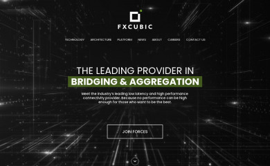fxcubic.com screenshot