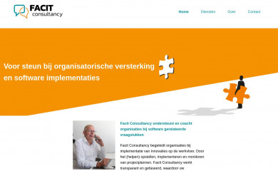 facitconsultancy.nl screenshot